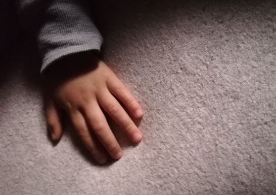写真「男児の手」